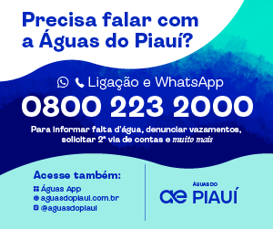 Banner Aguas de Teresina Post