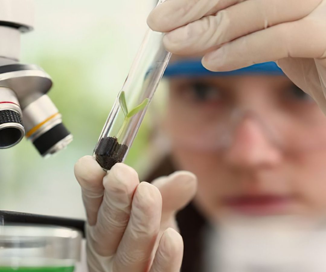 Prêmio para mulheres e meninas cientistas abre inscrições até outubro